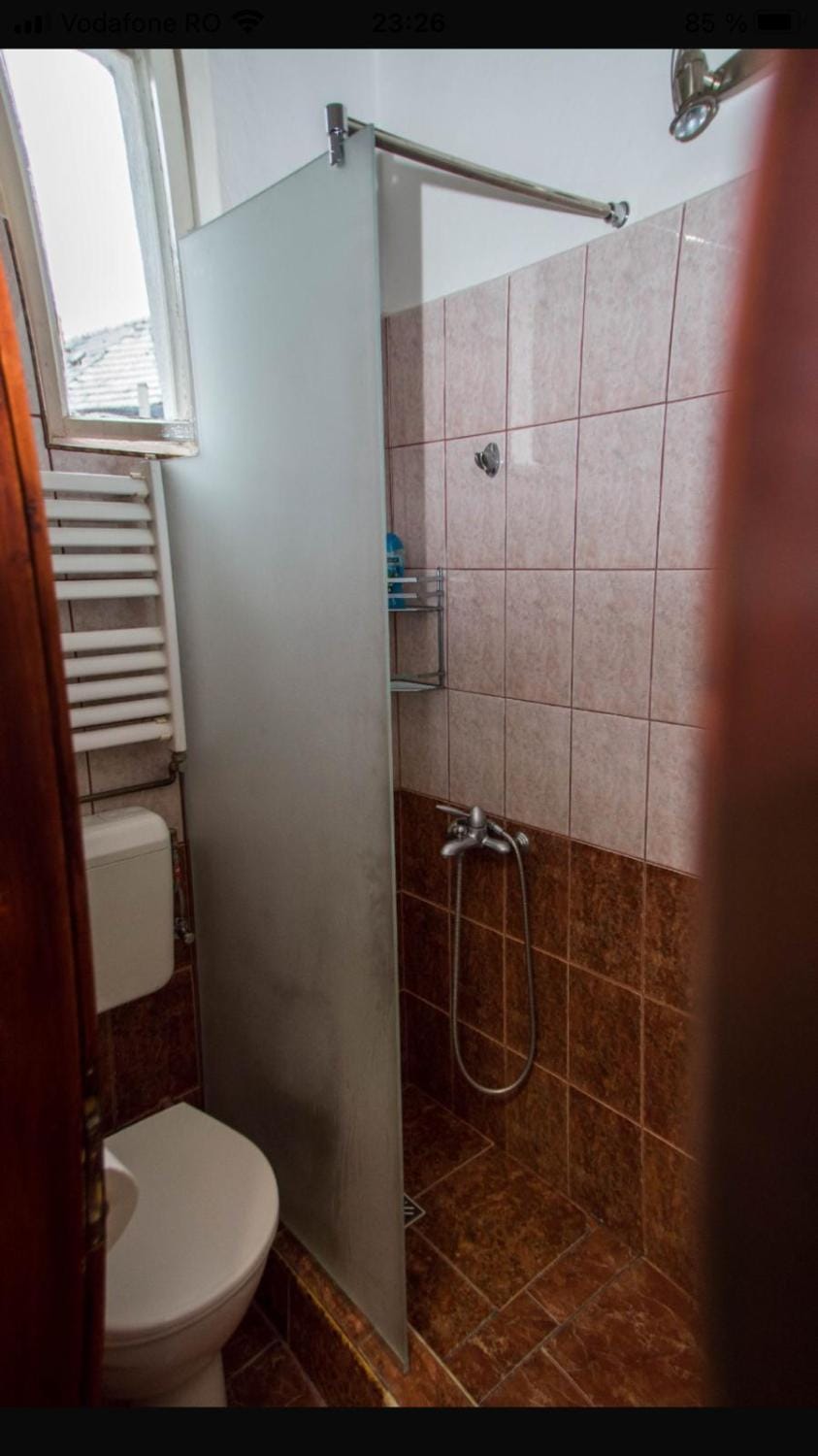 Zara Central Apartments Apartment in Timiș County