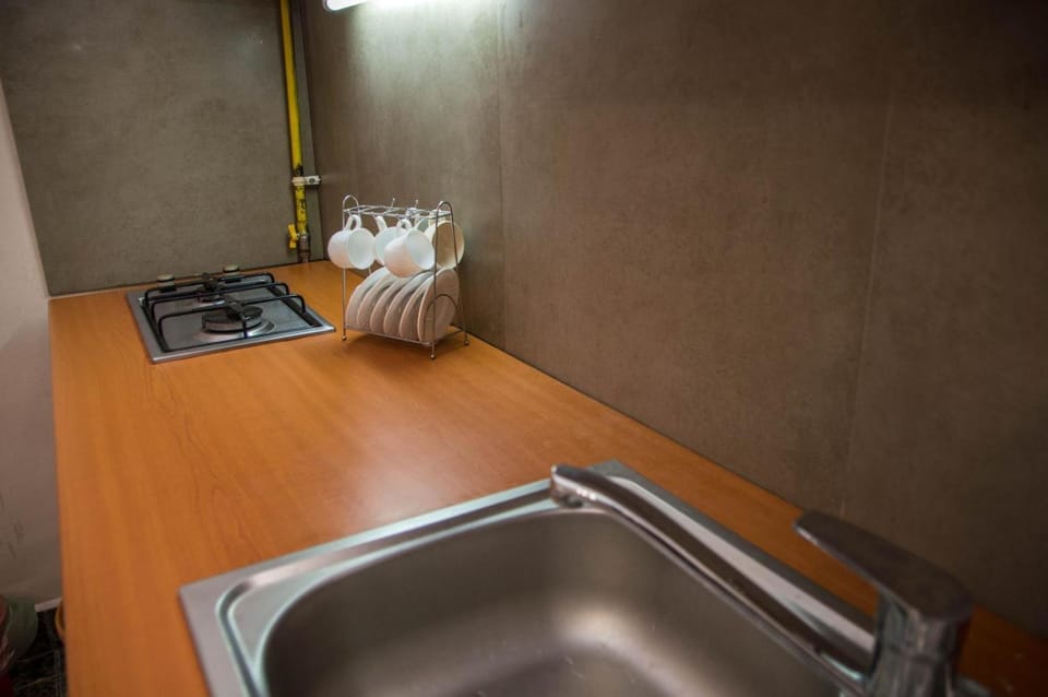 Zara Central Apartments Apartment in Timiș County