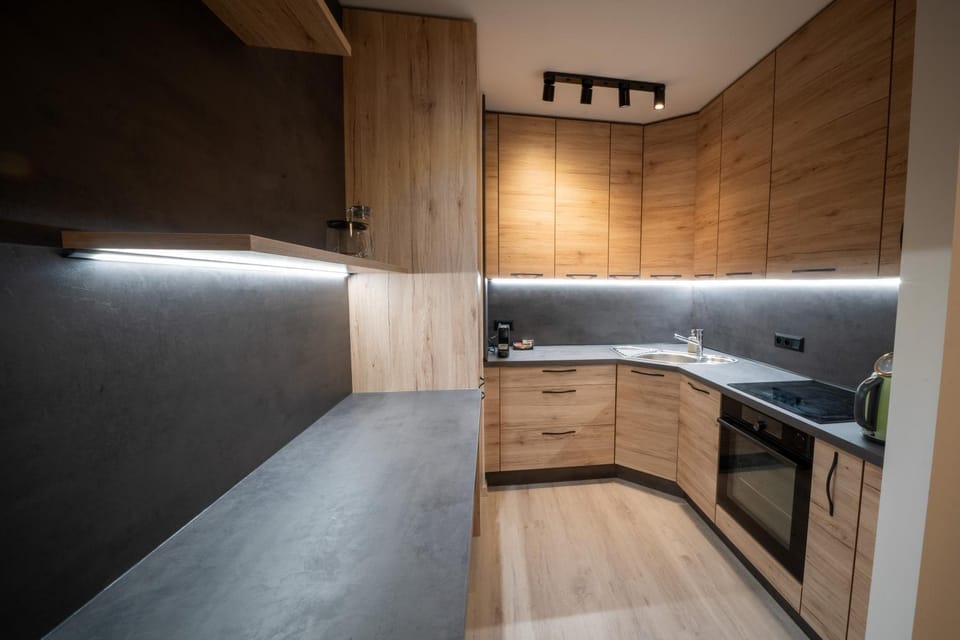Kitchen or kitchenette, dishwasher, stove