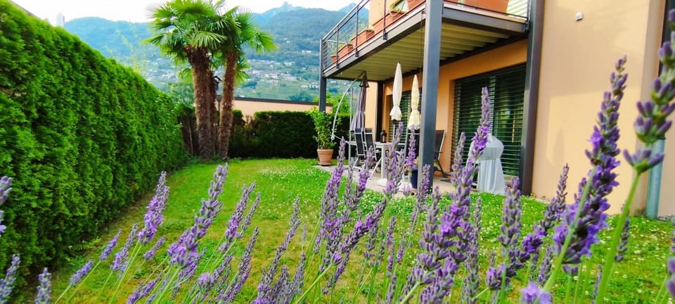 Property building, Garden, Garden view