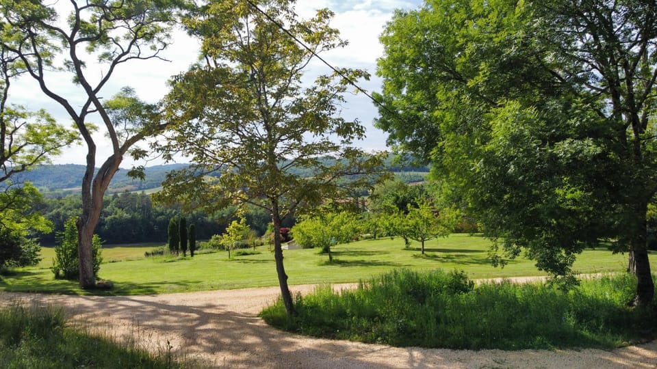 Natural landscape, Summer, Garden, Hiking, Cycling, Swimming pool, Sports, group of guests, Family, wedding