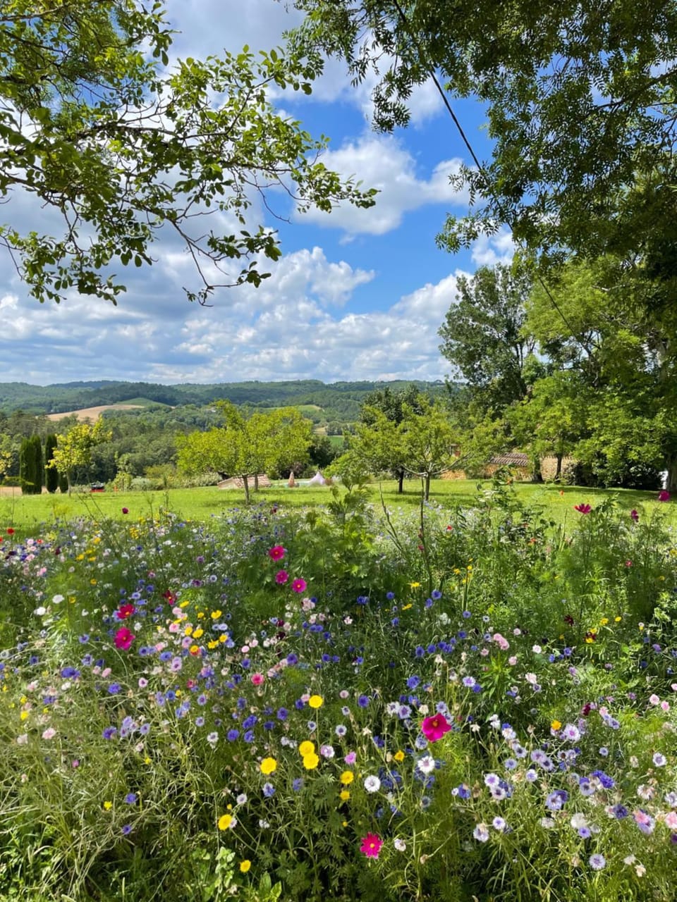 Garden, Garden view