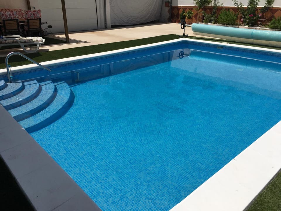 Day, Pool view, Swimming pool