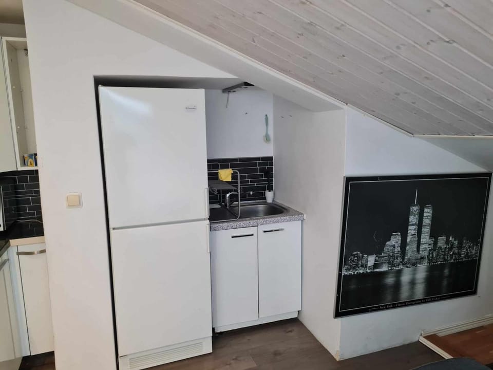 Kitchen or kitchenette, oven, stove