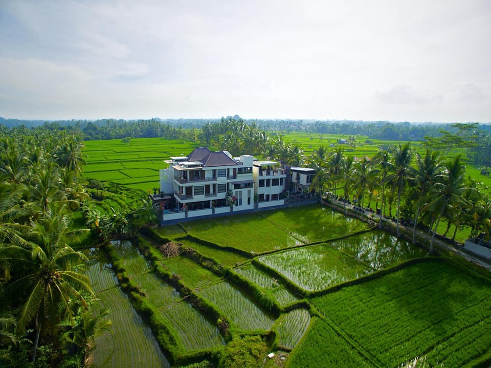 Property building, Bird's eye view, View (from property/room), Other