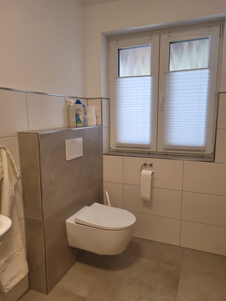 Toilet, Bathroom, towels