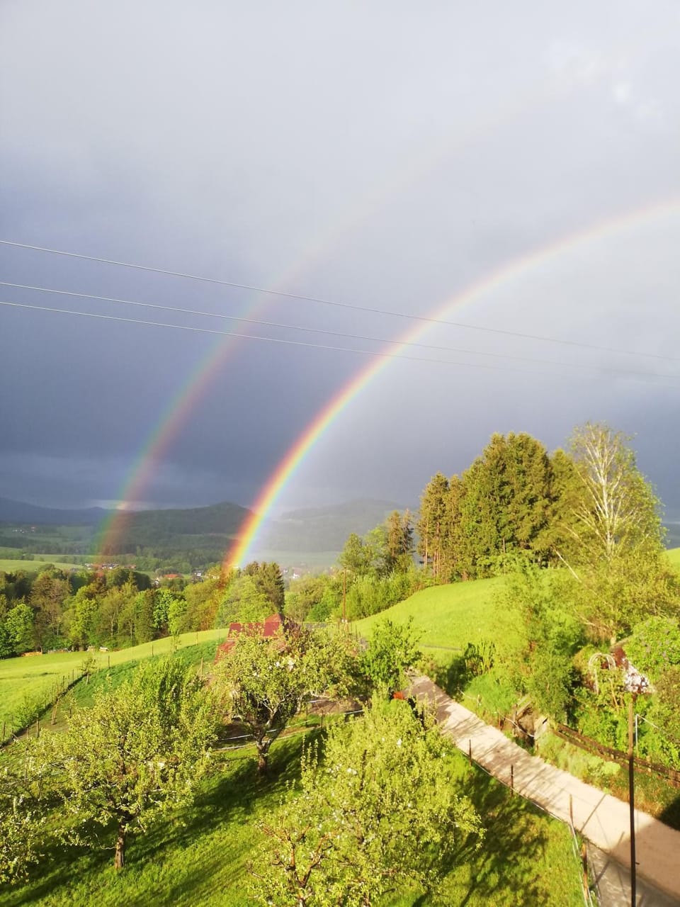Natural landscape