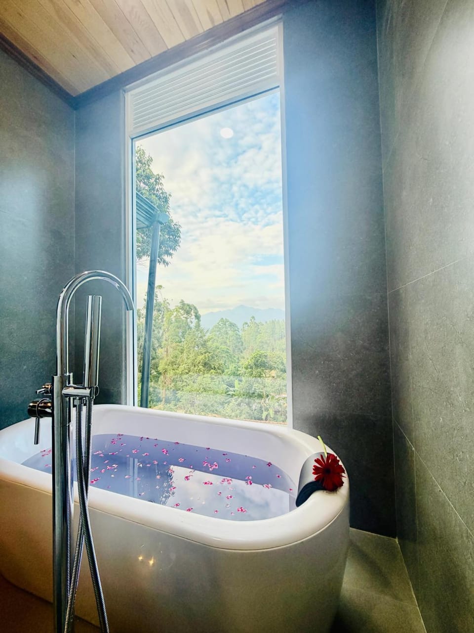 View (from property/room), Bath