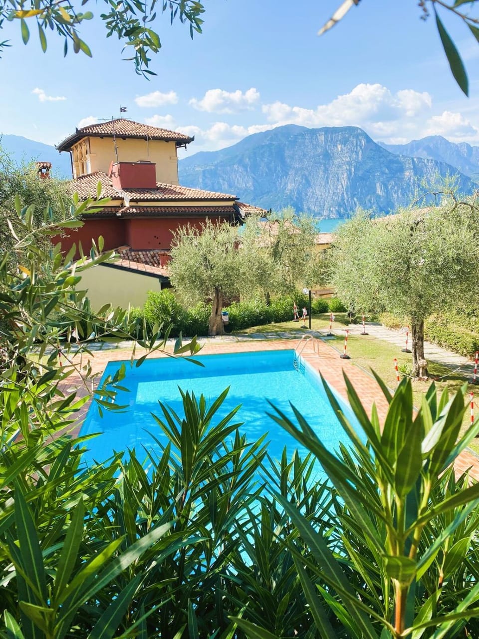 Natural landscape, Garden, Pool view, Swimming pool