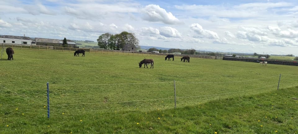 Greystones nawab sleeps 2 unit a in buxton in peak park Apartment in Monyash