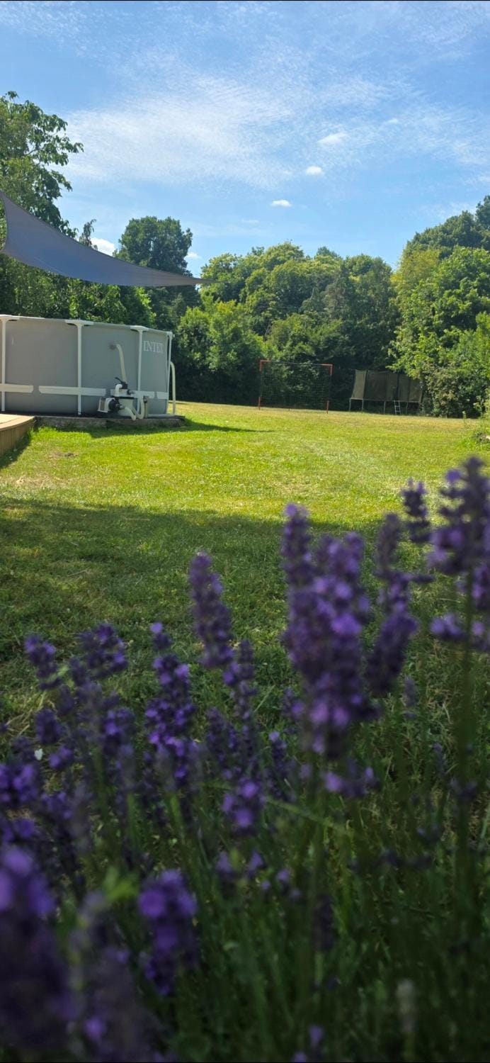 Spring, Garden, Garden view