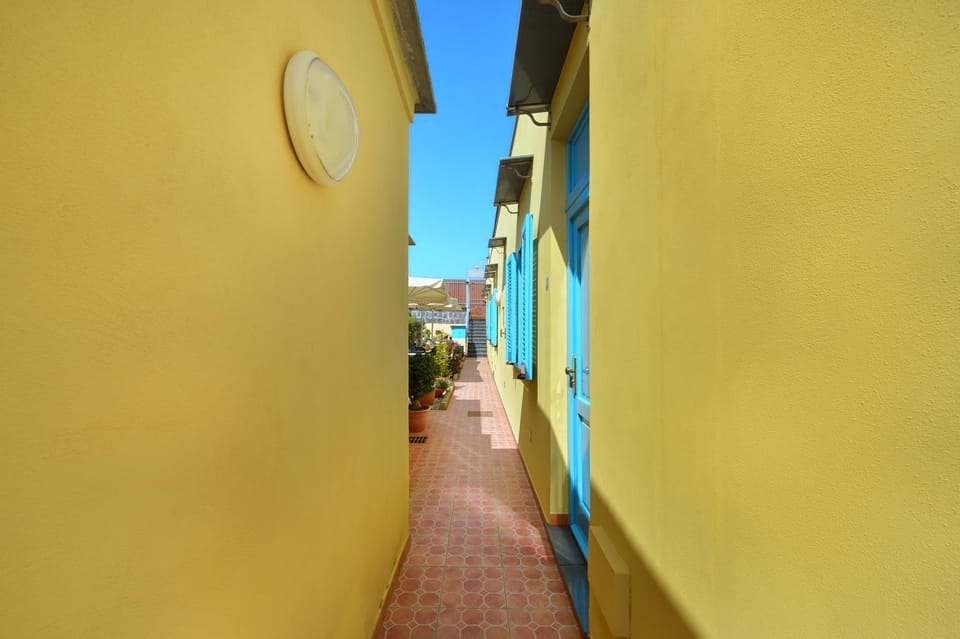 Patio, Garden, Other, Garden view