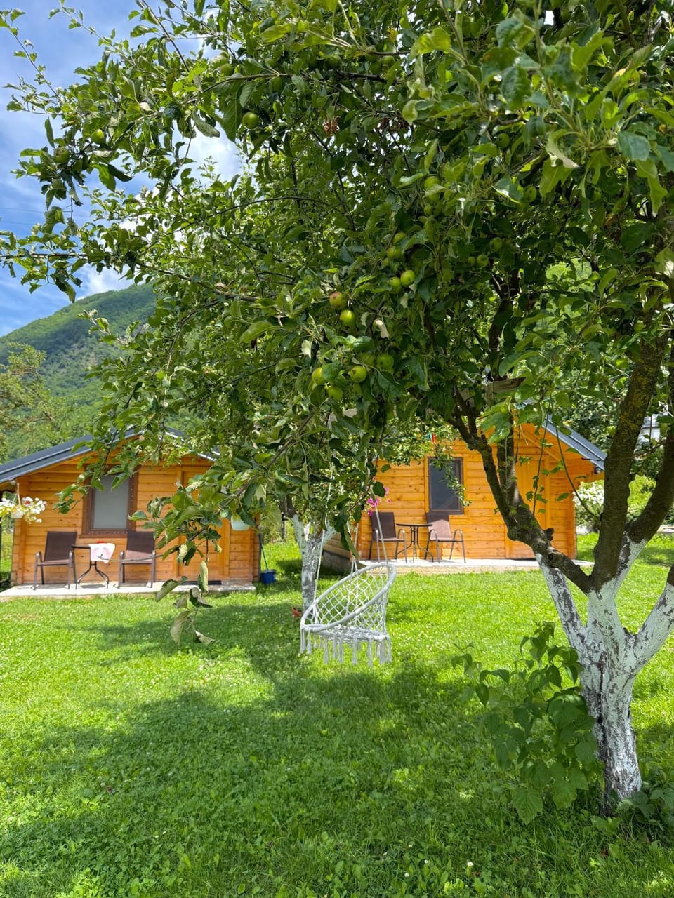 Alpet Chalet in Montenegro