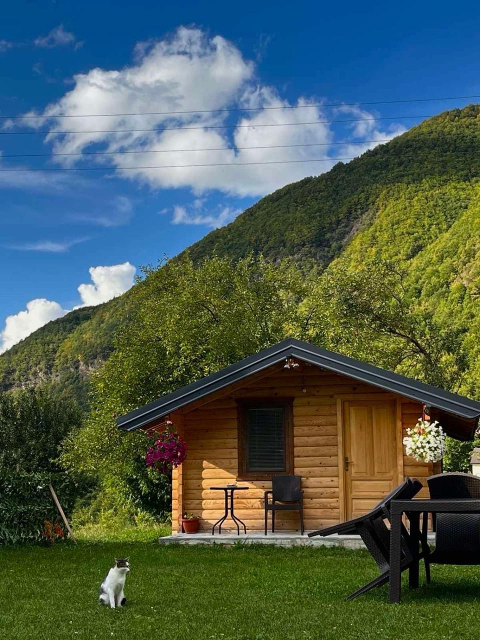 Alpet Chalet in Montenegro