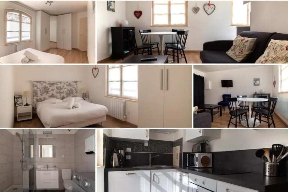 Bel appartement au centre de Colmar Apartment in Colmar