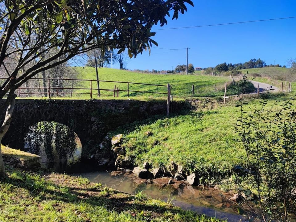 Neighbourhood, Natural landscape