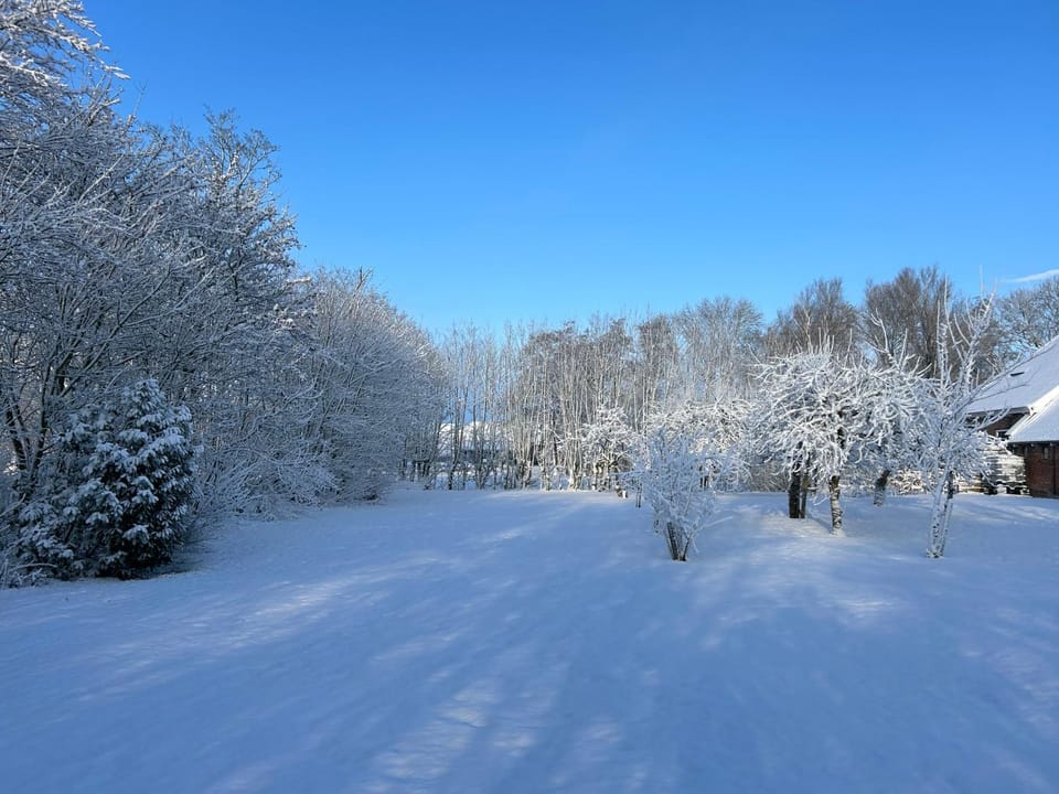 Winter