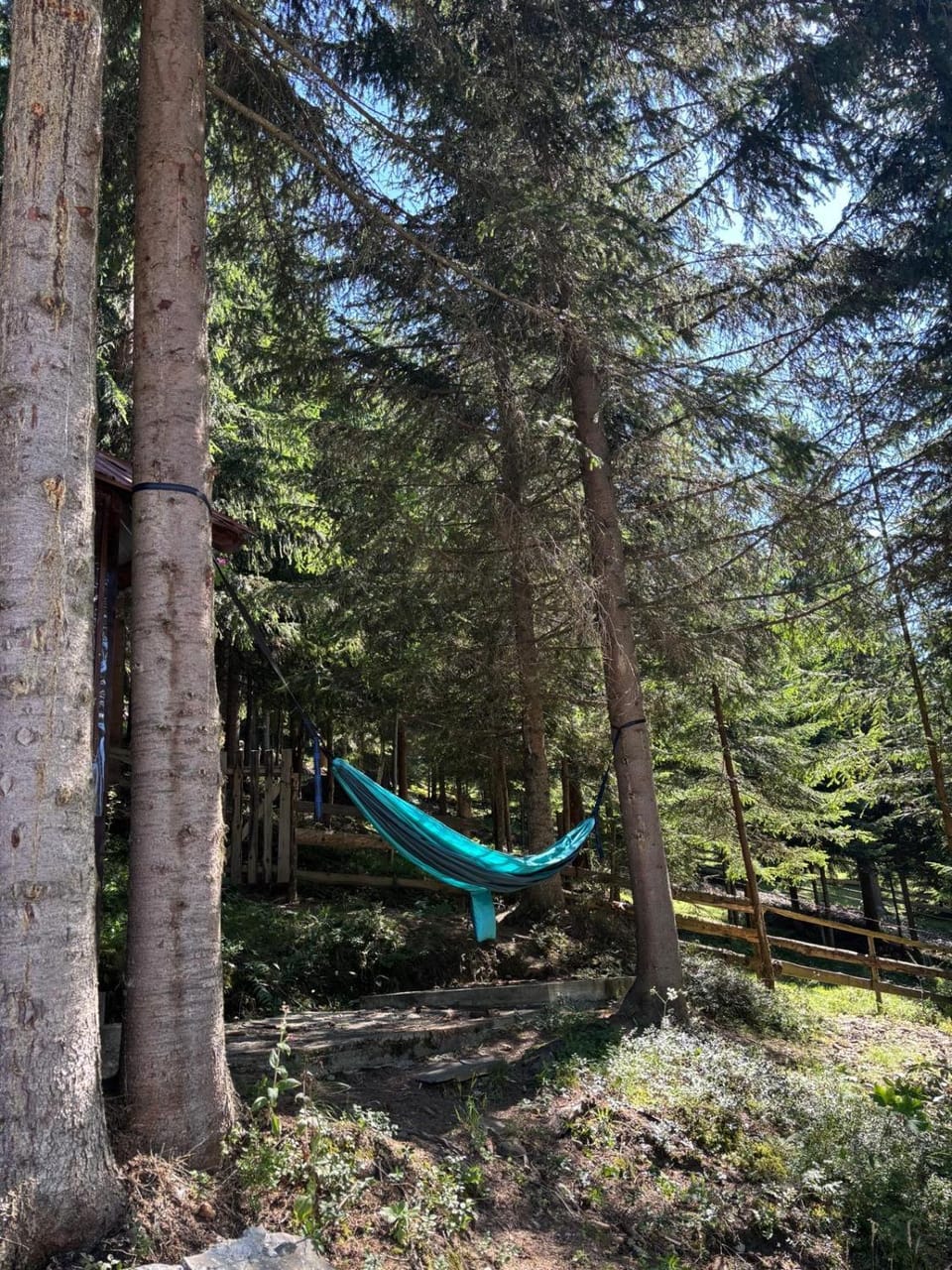 Perla Sarisorului Bed and Breakfast in Romania