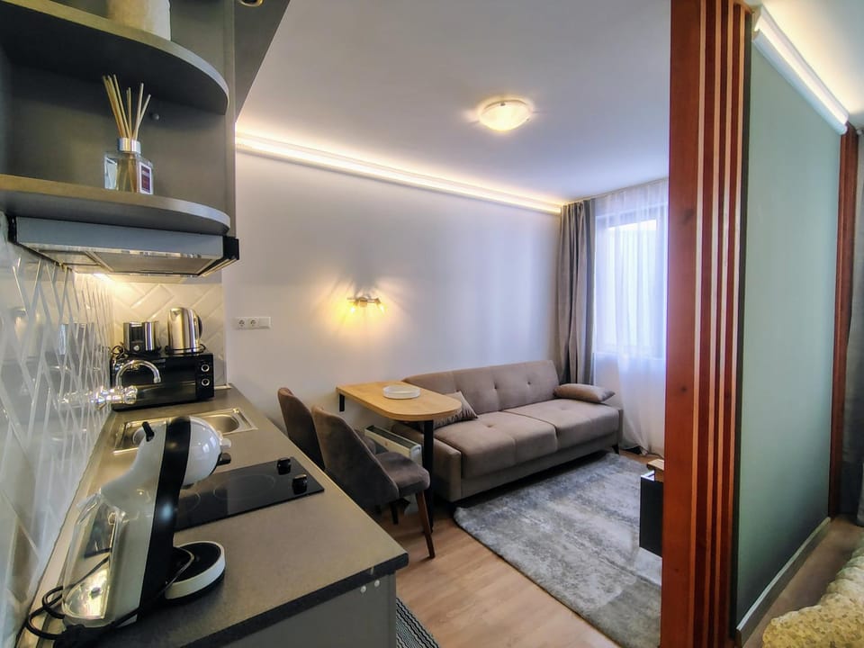Coffee/tea facilities, Kitchen or kitchenette, Photo of the whole room, stove