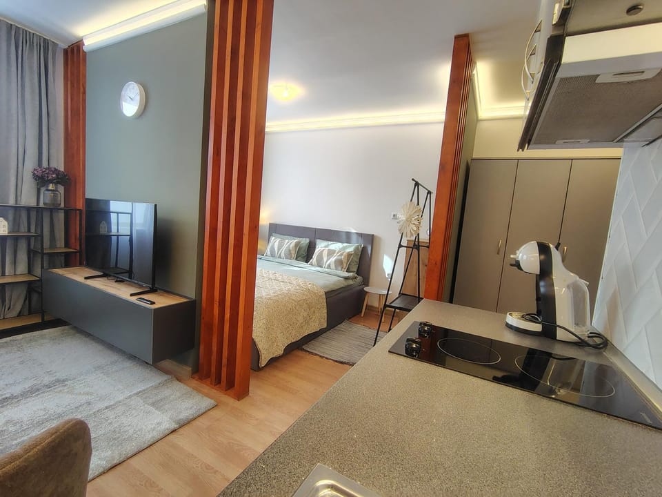 Bed, TV and multimedia, Kitchen or kitchenette, Photo of the whole room, Bedroom