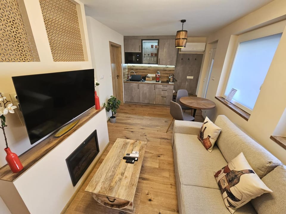 TV and multimedia, Kitchen or kitchenette, Living room, Seating area, Dining area, Evening entertainment