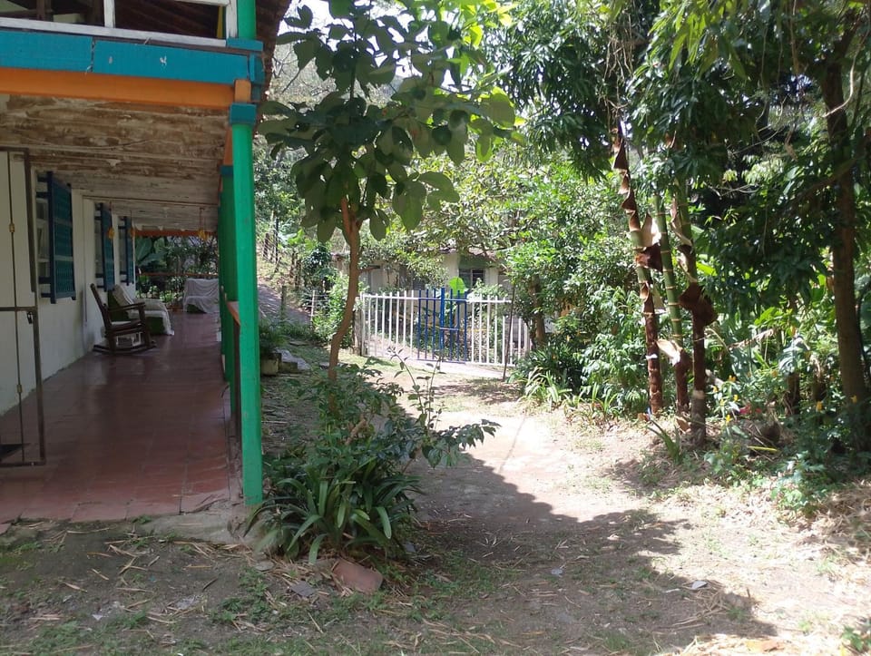 Patio, Balcony/Terrace