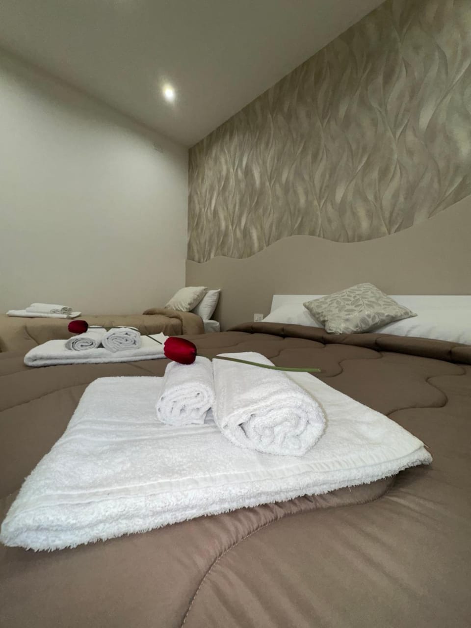 Il Tulipano house House in Catania