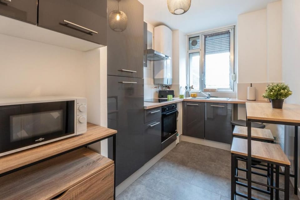 Merles 15 1er Etage Centre Mulhouse Stationnement Apartment in Mulhouse