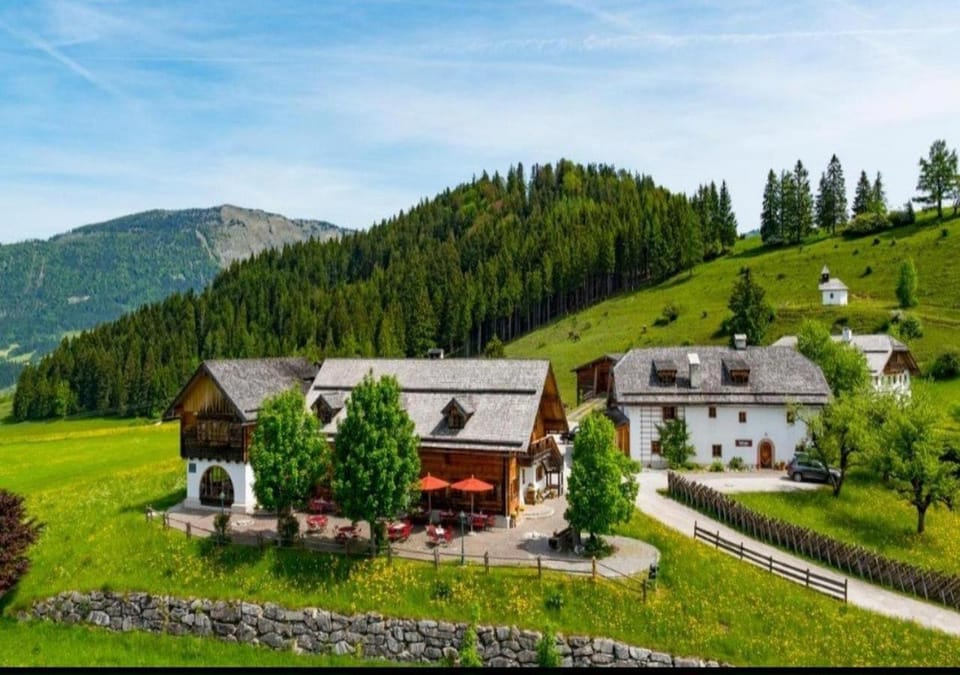 Day, Natural landscape, Garden