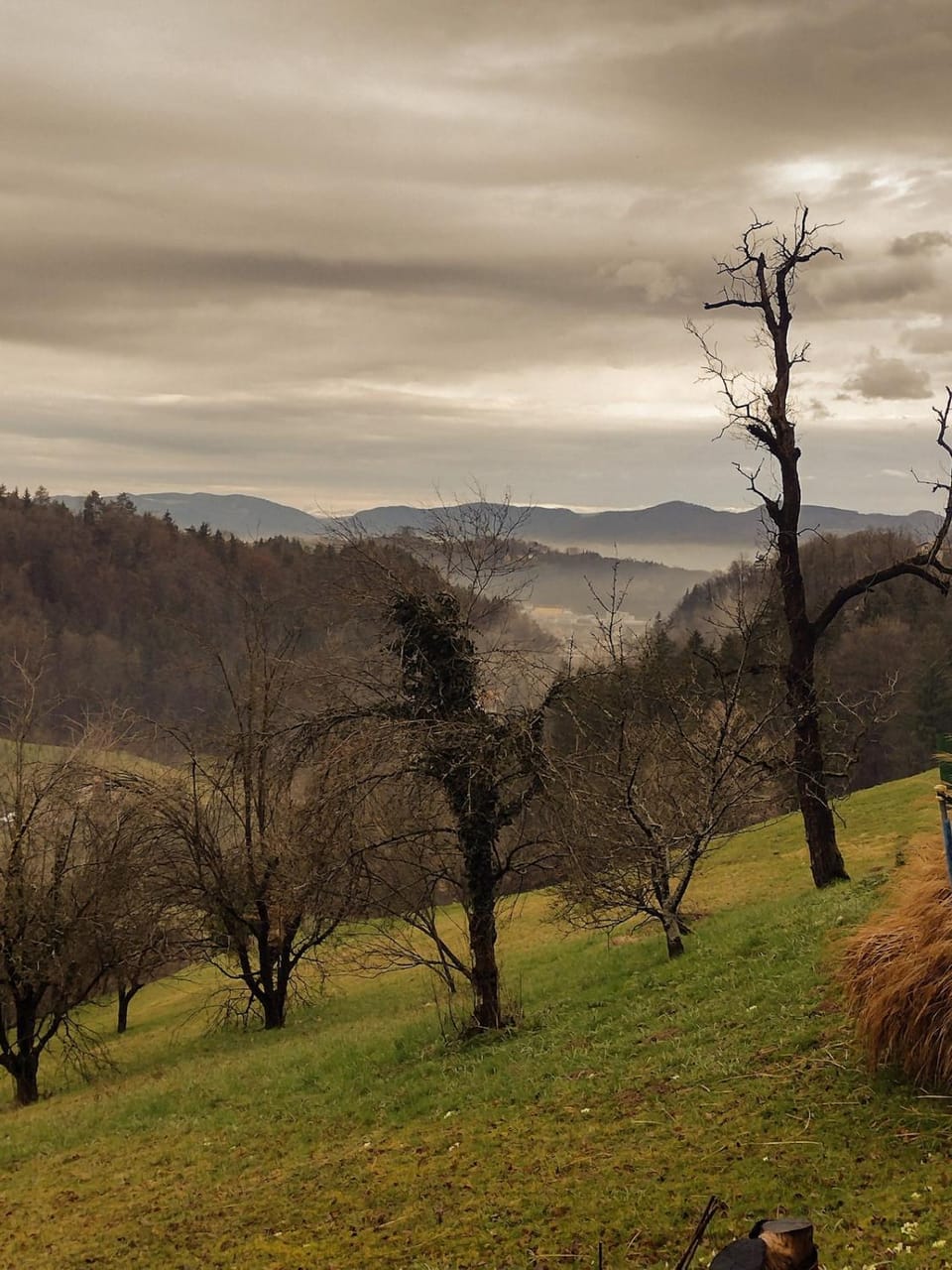 Mountain view