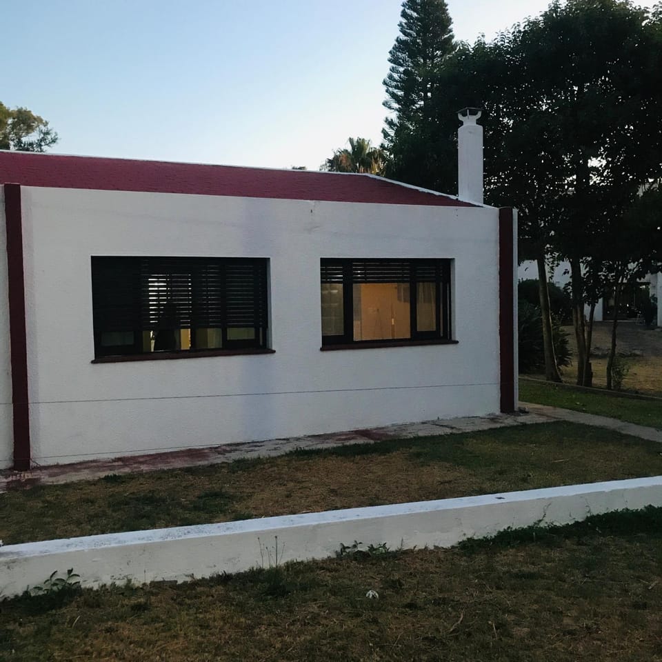 Property building, Day, Garden
