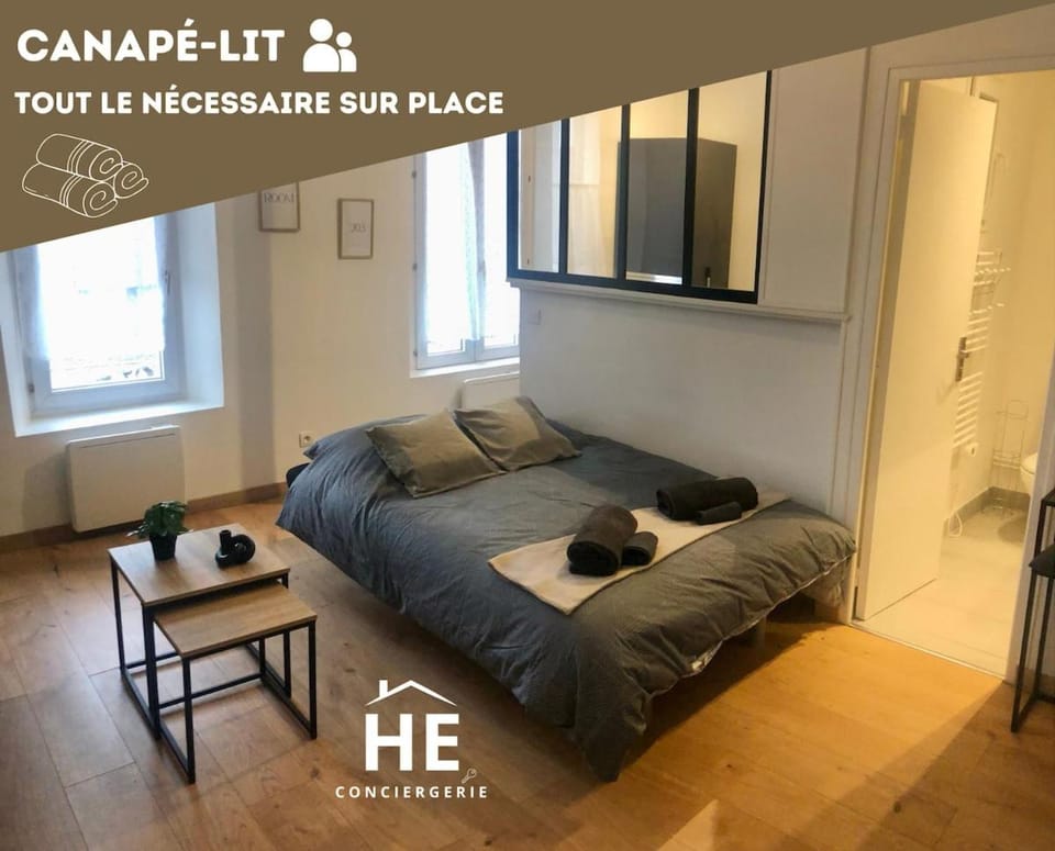 Room 203 Hyper Proche Gare 250m Apartment in Centre-Val de Loire