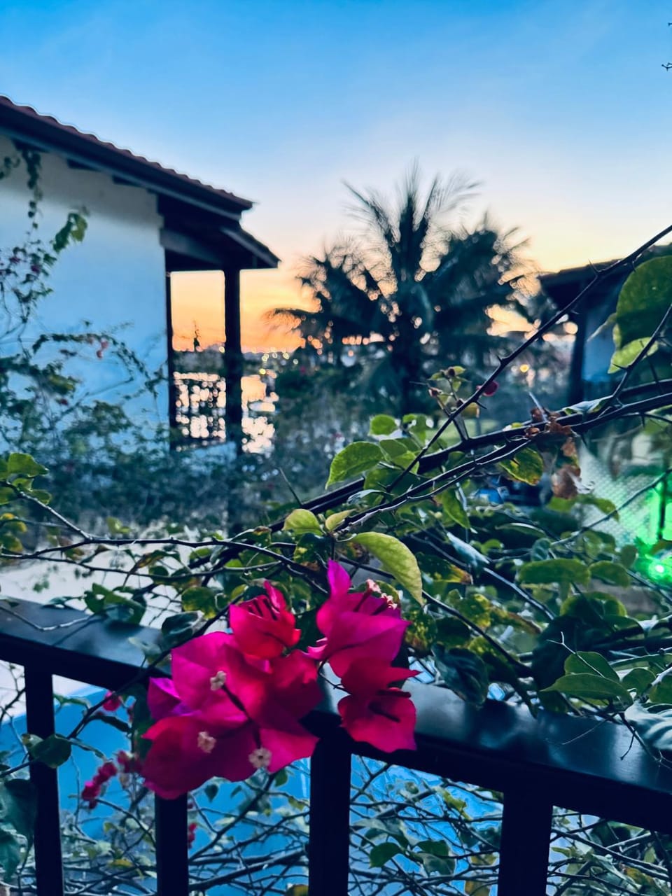 View (from property/room)
