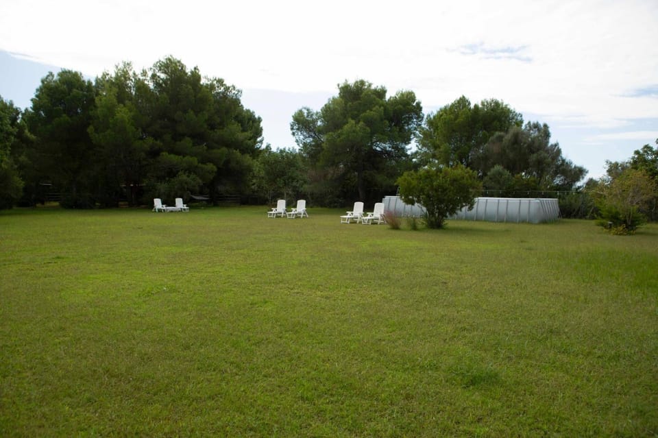 Day, Natural landscape, Garden, Garden view