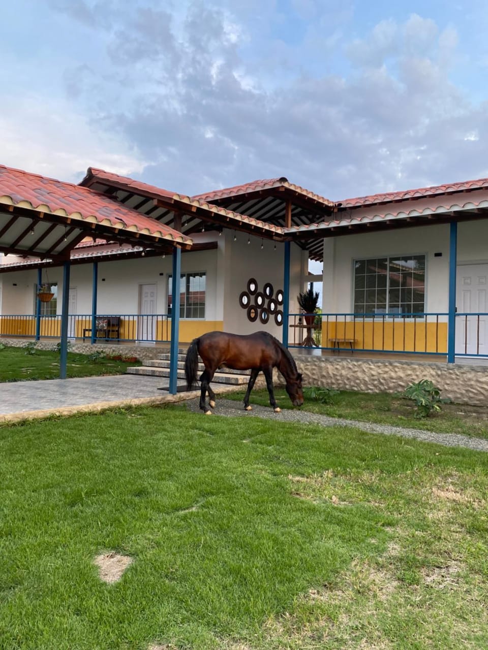 Property building, Animals