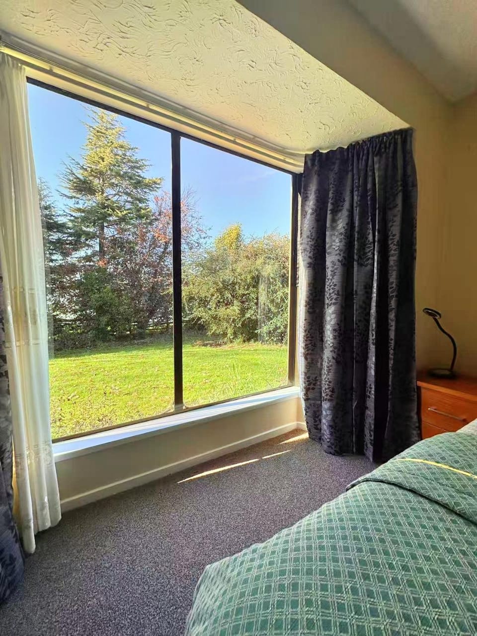 Bed, Garden, Photo of the whole room, Bedroom, Garden view