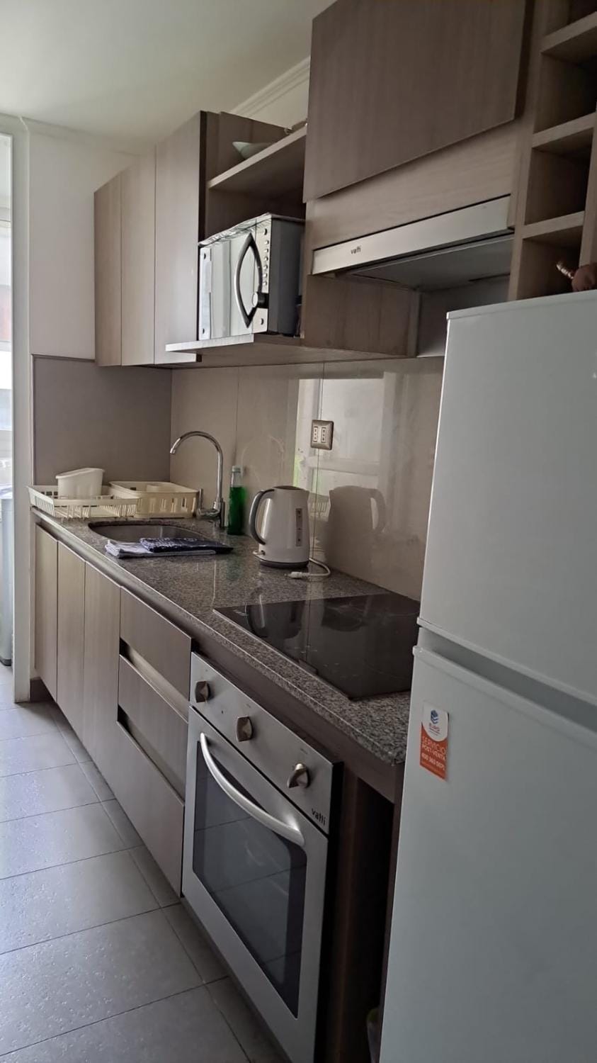 BASMEY SUITE Alto Amunategui Stgo Apartment in Recoleta