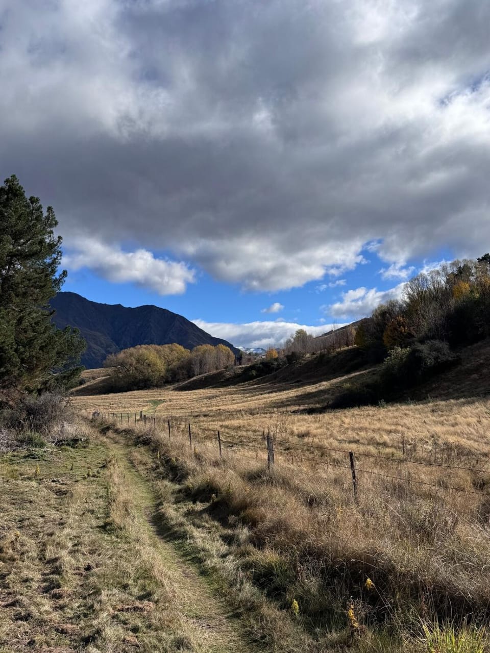 Natural landscape