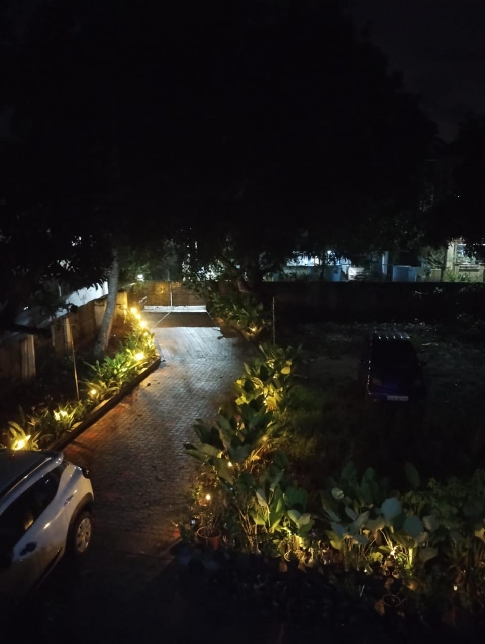 Garden view