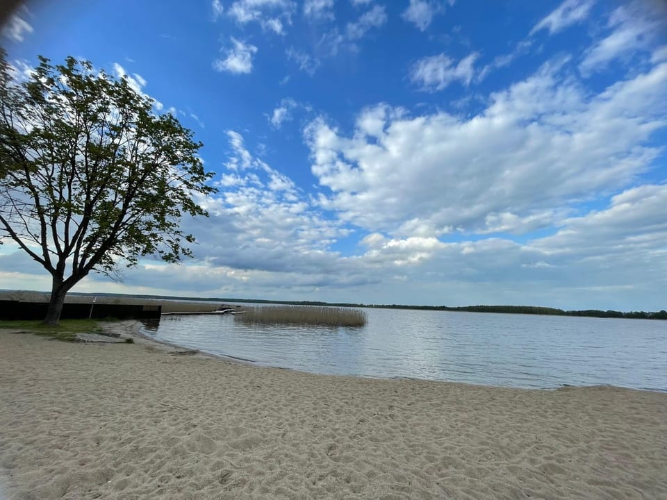Lake view