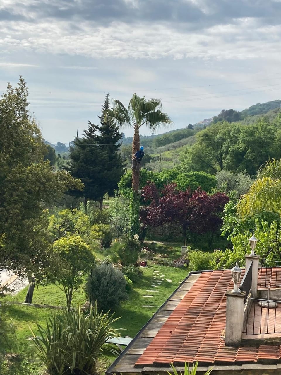 Garden view