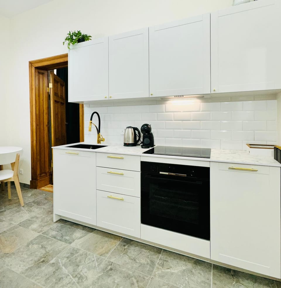 Kitchen or kitchenette, dishwasher, stove