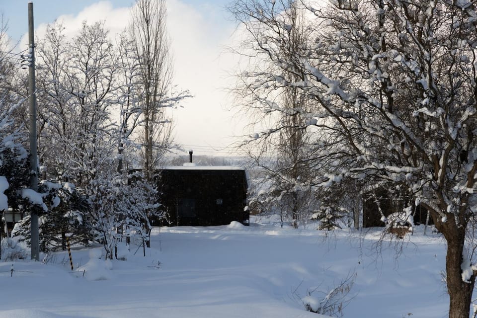 Natural landscape, Winter