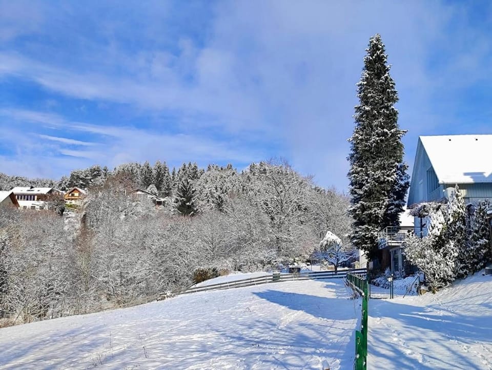 Winter, View (from property/room), Balcony/Terrace