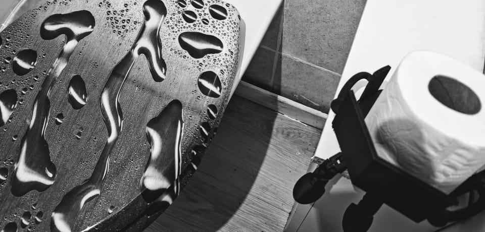Toilet, Decorative detail