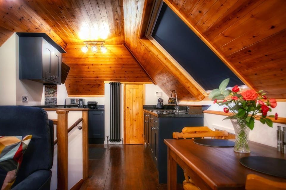 Kitchen or kitchenette, Dining area, oven, stove