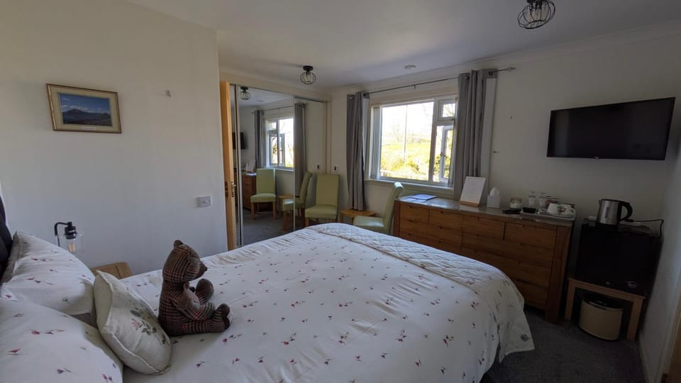 Bed, TV and multimedia, Coffee/tea facilities, Photo of the whole room, Bedroom