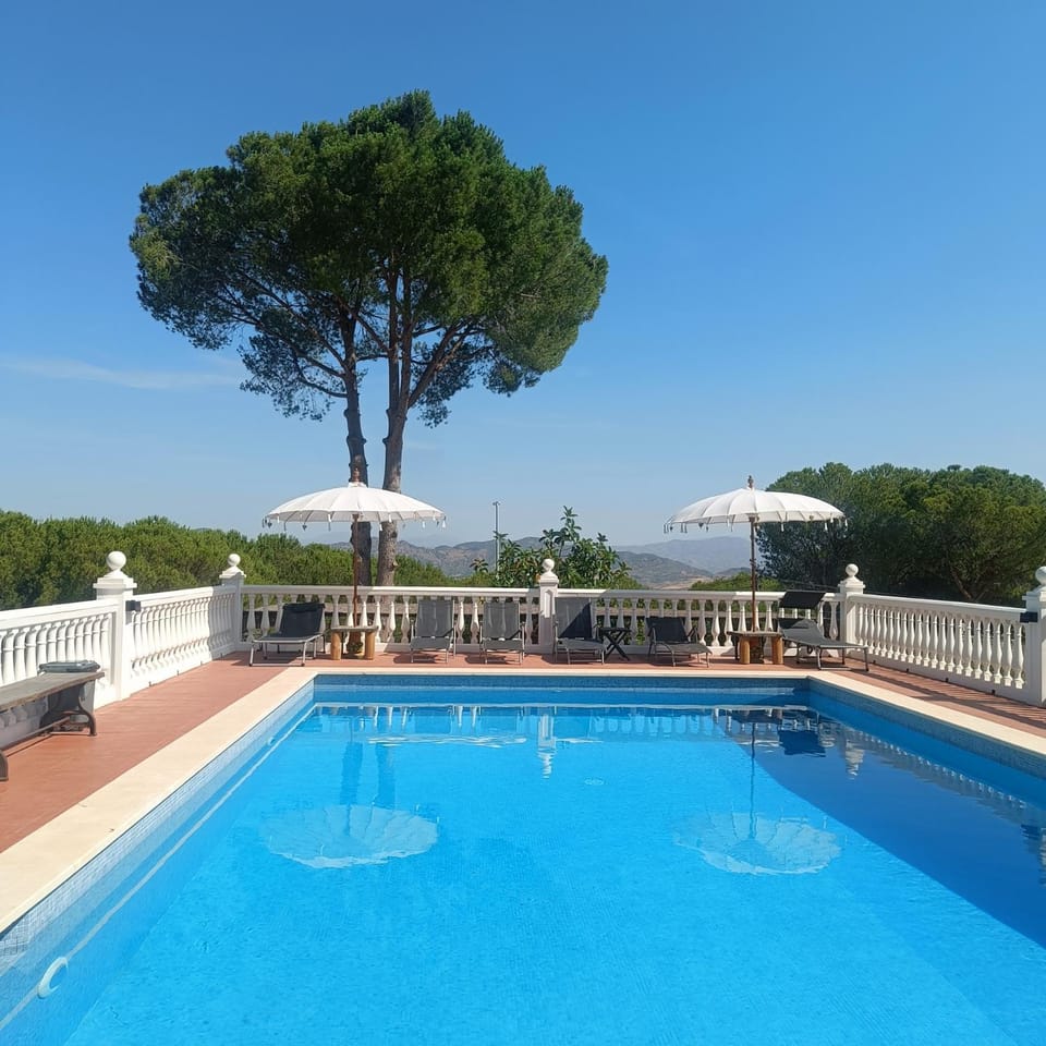 Day, Pool view, Swimming pool