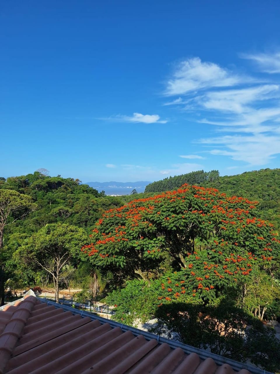 Pousada Recanto Barão de Biguaçu Hotel in State of Santa Catarina