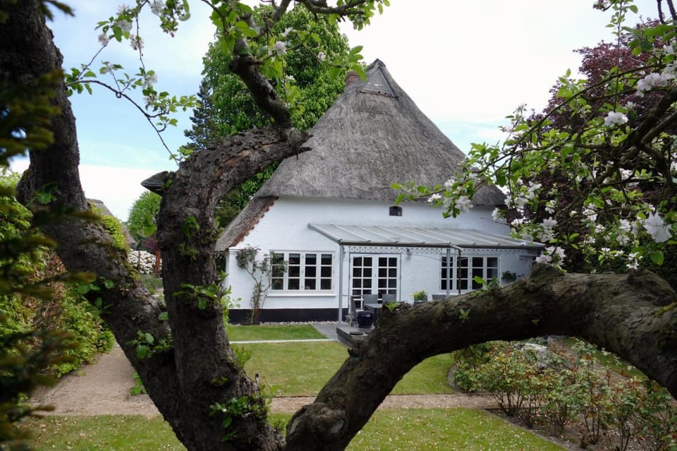 Property building, Garden